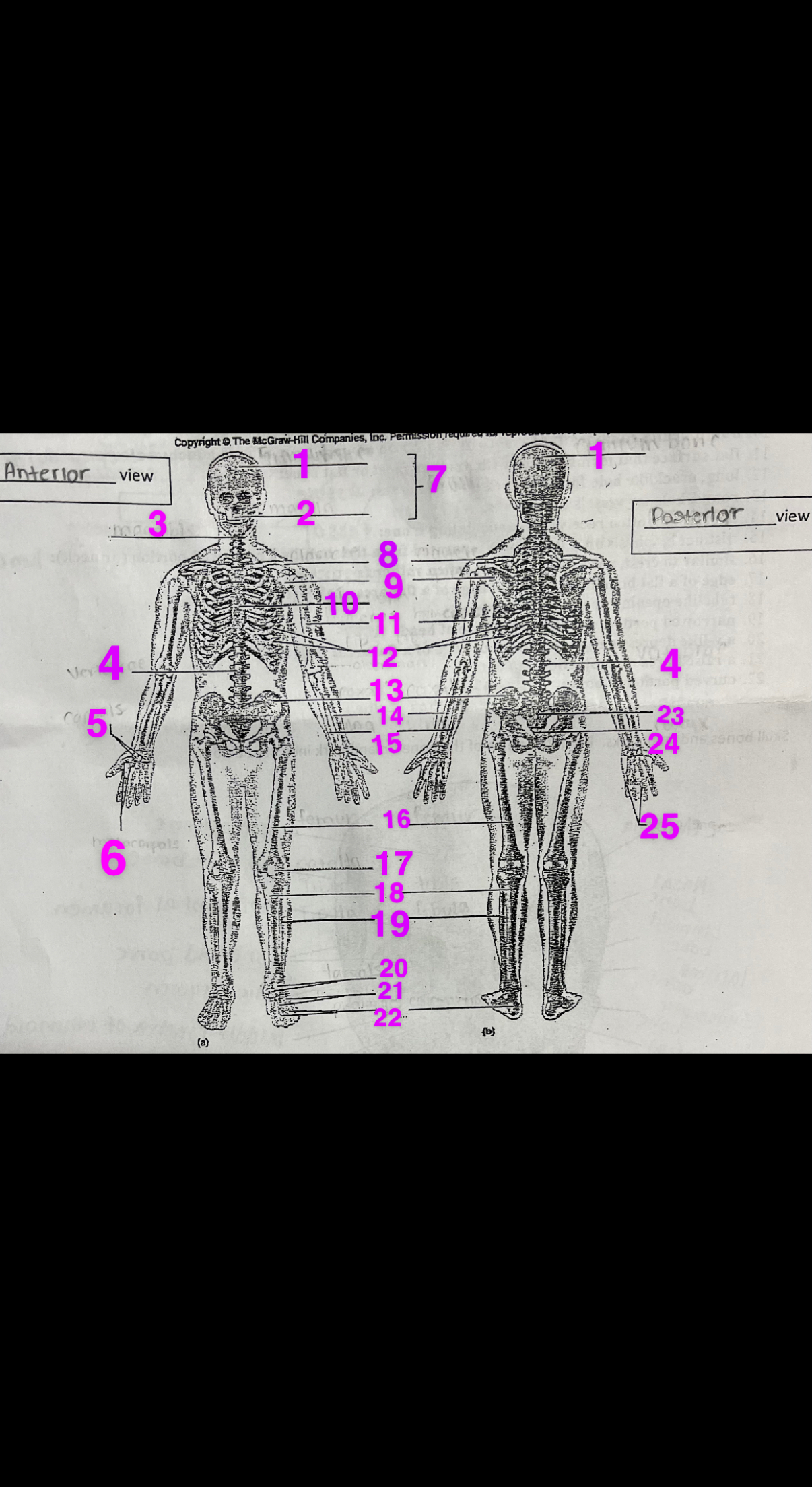 <p>WHAT IS NUMBER 23</p>