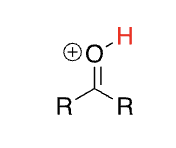 <p>Protonated Carbonyl</p>