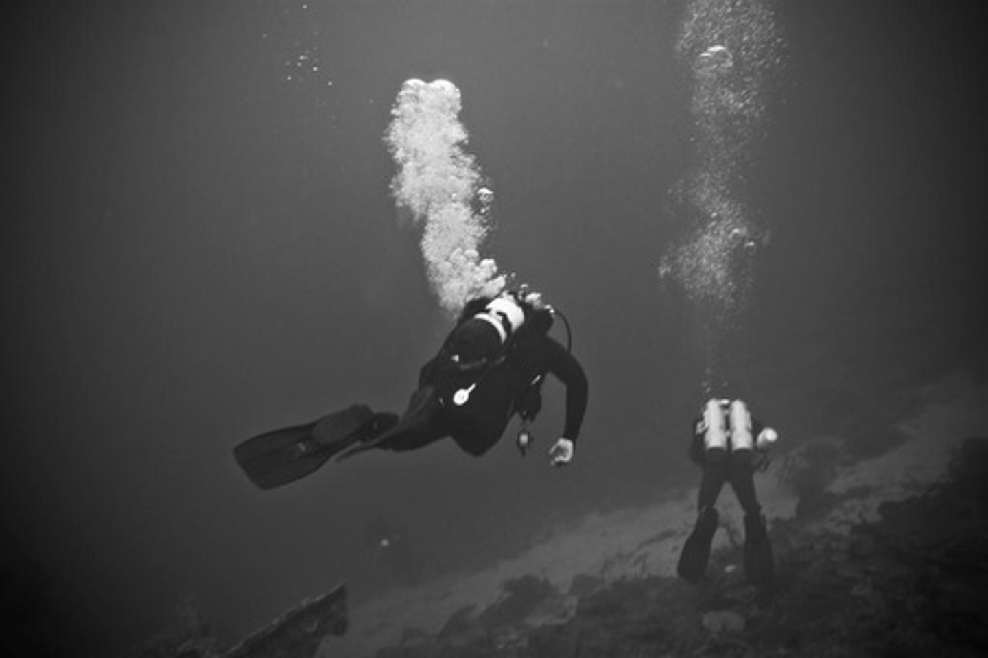 <p>profundamente</p>