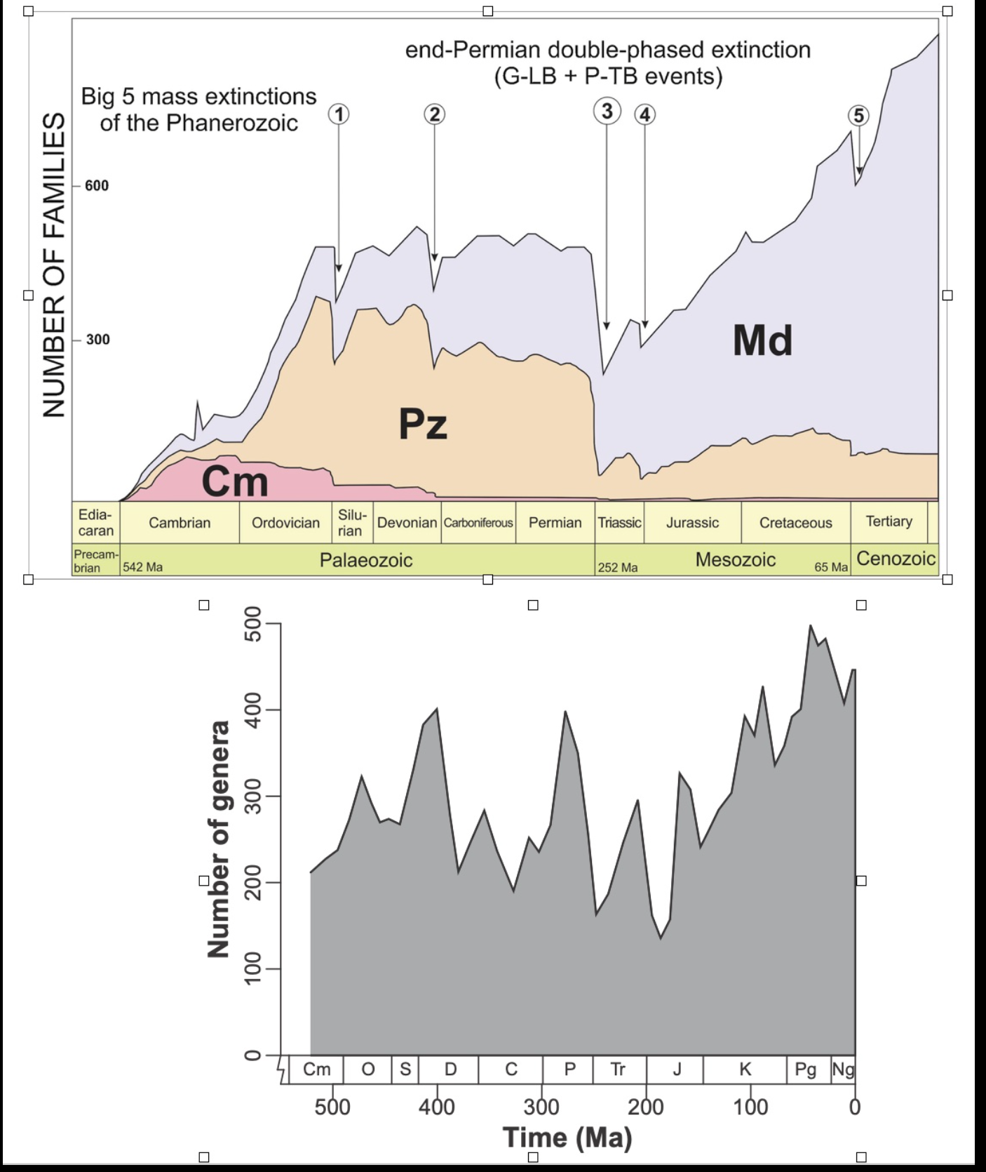 <p>Which answer best describes these graphs </p>