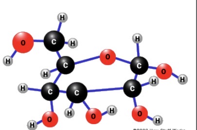 <p>What is this?</p>