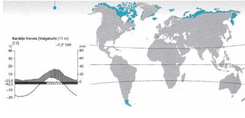 <p><span>Toundra</span></p>