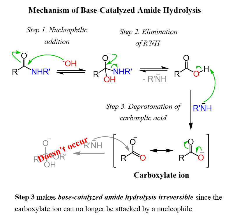 <p>Reactants/Reagents: OH- (cat.), Heat, H2O</p><p>Products: Cbox + Amine</p>
