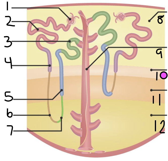 <p>what is 5?</p>
