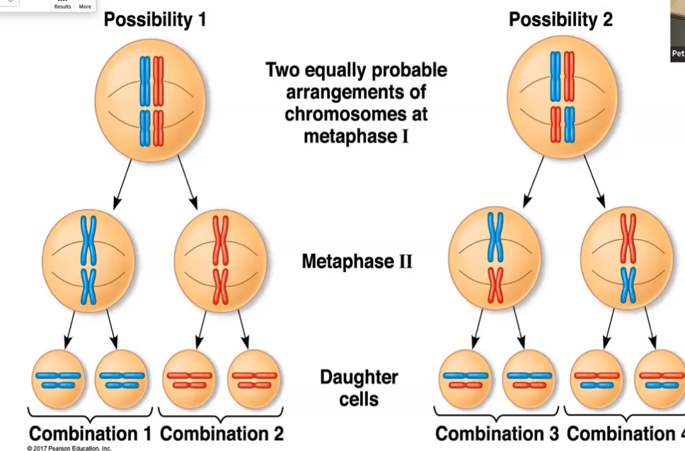 <p>why is this image unrealistic and potentially misleading?</p>