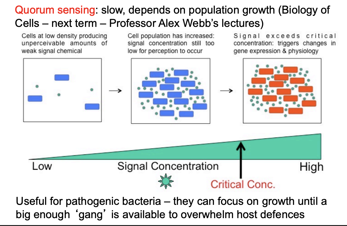 <ul><li><p>Release chemical signals</p><ul><li><p>homoserine, lactone</p></li></ul></li><li><p>Monitor own <strong>Population density</strong></p><ul><li><p>Take co-ordinated action together only when a critical cell density is reached</p></li></ul></li></ul><p></p>
