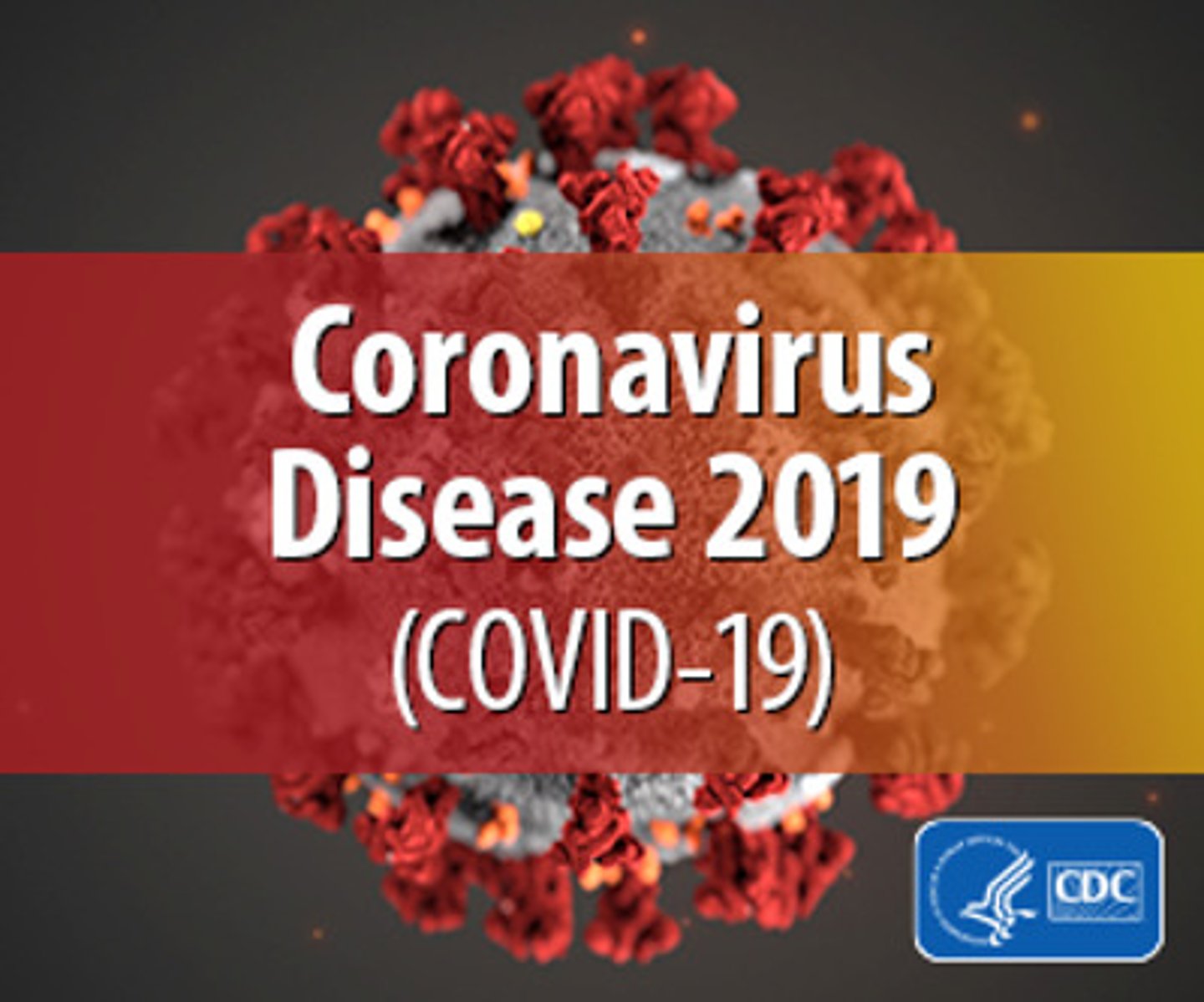 <p>... infectious diseases thought to have been eradicated or controlled have returned and new ones have emerged<br><br>(Martens 2002)<br>e.g., COVID19</p>