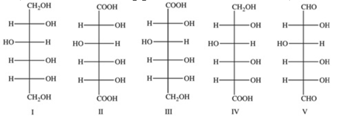 <p>Which of the following structures represents the product formed when glucose is oxidized by conc. HNO3 to form glucaric acid?</p><ul><li><p>I</p></li><li><p>II</p></li><li><p>III</p></li><li><p>IV</p></li><li><p>V</p></li></ul><p></p>