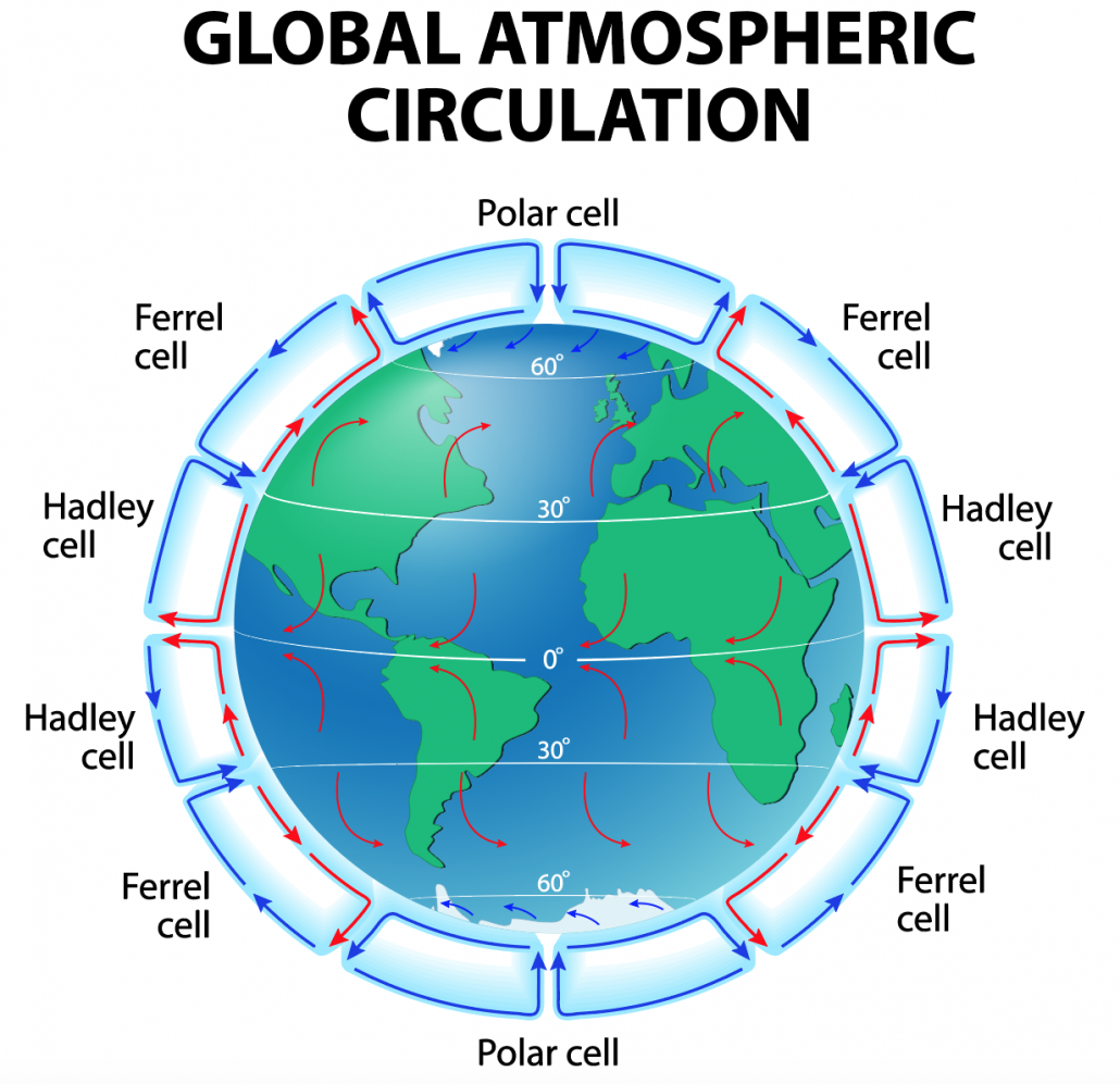 <ul><li><p>GAC is the transfer of heat from the equator to the poles by the movement of air</p></li><li><p>air moves due to differences in air pressure - winds blow from high pressure areas to low pressure areas</p></li><li><p>each cell has warm rising air that creates a low pressure belt and cool sinking air that creates a high pressure belt</p></li><li><p>each hemisphere has three cells</p></li><li><p>hiigh pressure - cool air descends</p></li><li><p>low pressure - warm air ascends</p></li></ul><p>How air moves</p><ul><li><p>the sun warms the earth at the equator, causing the air to rise, creating a low pressure belt and rainfall.</p></li><li><p>as the air rises and reaches the edge of the atmosphere, it cools and moves away from the equator to the north and south.</p></li><li><p>at 30 degrees north and south of the equator, cool air sinks, creating a high pressure belt and dry dry conditions</p></li><li><p>large air cells are created in this way</p></li><li><p>at the ground surface, some of the cool air goes back to the equator as trade winds and the rest goes towards the poles as westerlies. these winds curve due to the earth’s rotation - coriolis effect</p></li><li><p>at 60 degrees north and south of the equator, the warmer surface winds meet colder air from the poles. The warmer air rises, creating low pressure</p></li><li><p>some of the air moves back towards the equator and the rest moves towards the poles</p></li><li><p>at the poles, the cool air sinks, creating high pressure. the high pressure air then moves back towards the equator.</p></li></ul>