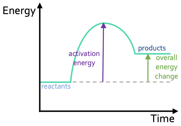 what type of reaction is shown on this reaction profile 