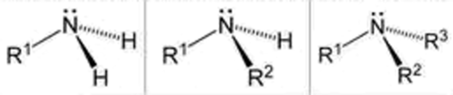 <p>- use N- and N,N- for secondary and tertiary amines to make it clear that the alkyl groups are attached to the nitrogen.</p><p>under go nucleophilc substitution</p>