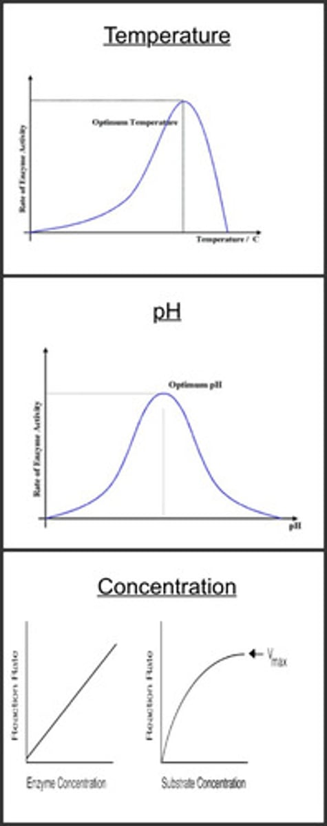 <p>PH, concentration, temperature</p>