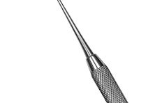 <p>Discoid-Cleoid Carver</p>