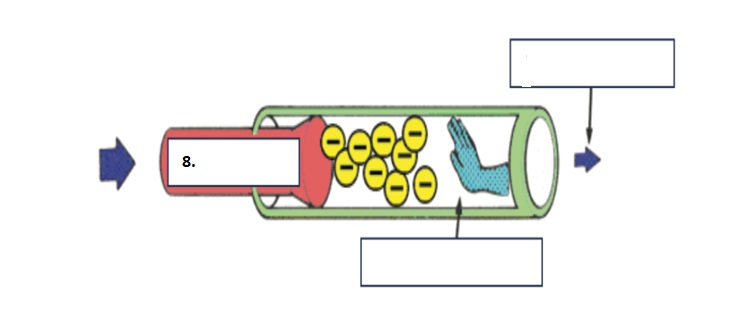knowt flashcard image