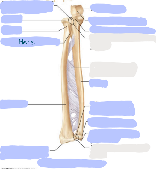 <p>What is here?</p>