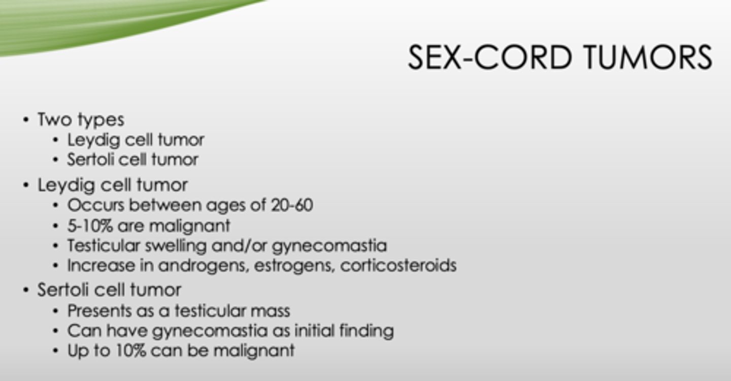 <p>- Leydig</p><p>- Sertoli</p>