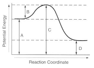 <p>A</p>