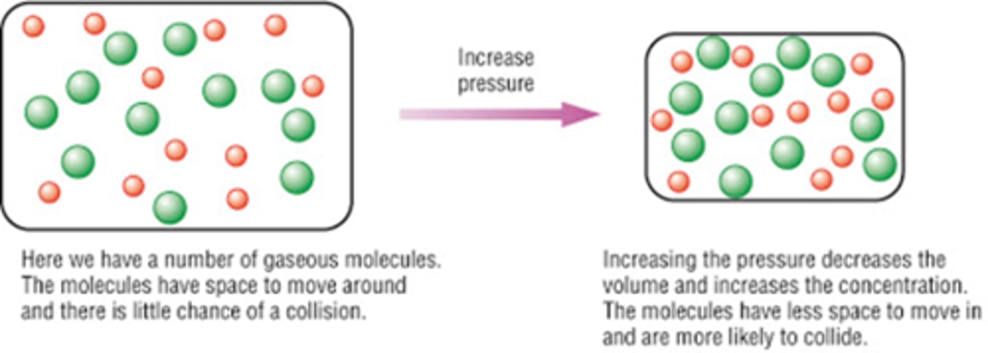<p>1. Higher pressures- means more molecules in the same volume so the particles/molecules are in closer proximity to each other on average</p><p>2. So they collide more frequently/ greater chance of the molecules colliding/ more collisions will occur in a certain length of time</p><p>3. There are more collisions per second- higher frequency of collisions.</p><p>4. More collisions per second means more chance to react</p><p>5. The rate of reaction increases</p><p>(Same explanation as a higher concentration)</p>