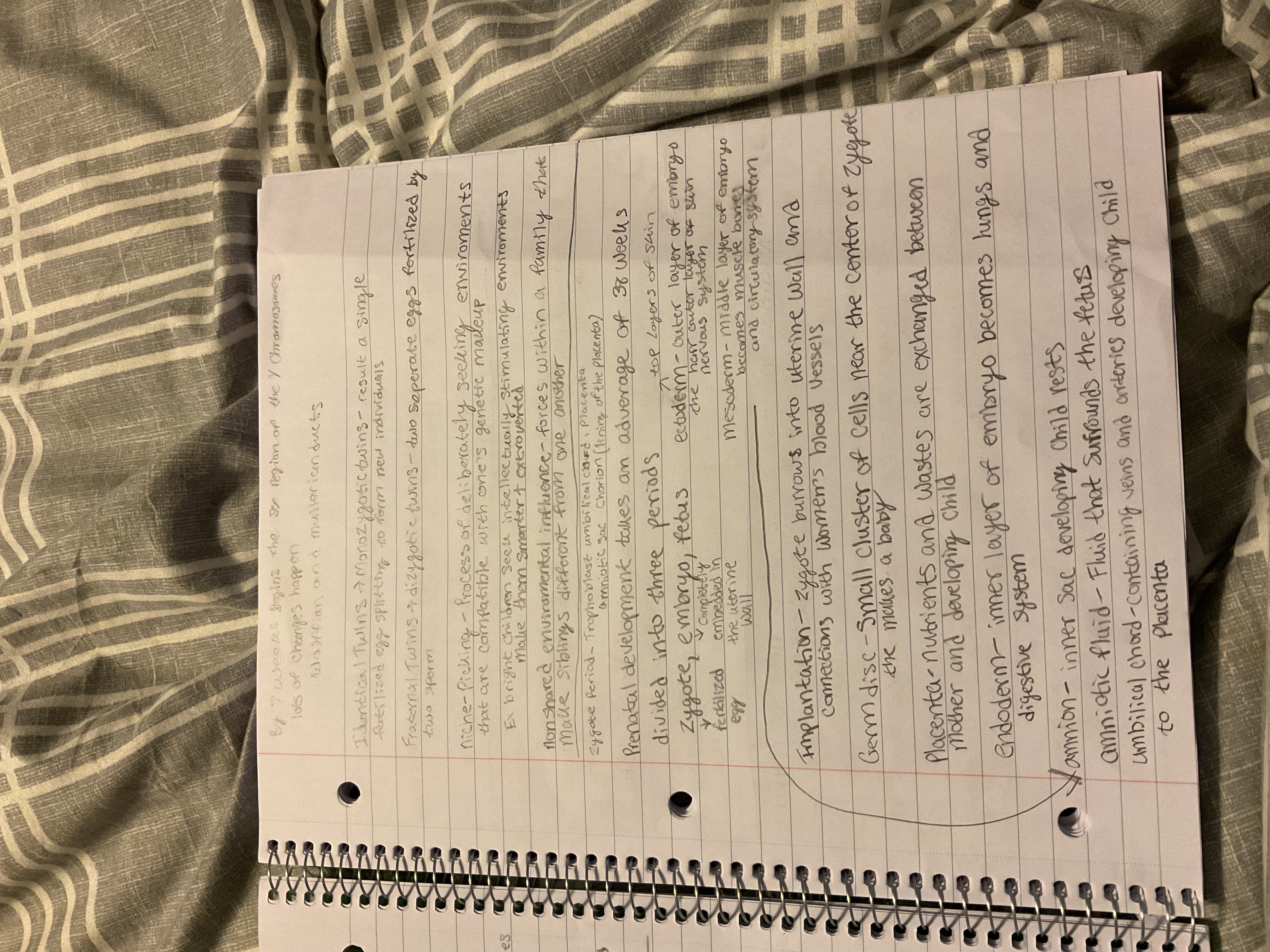 knowt flashcard image