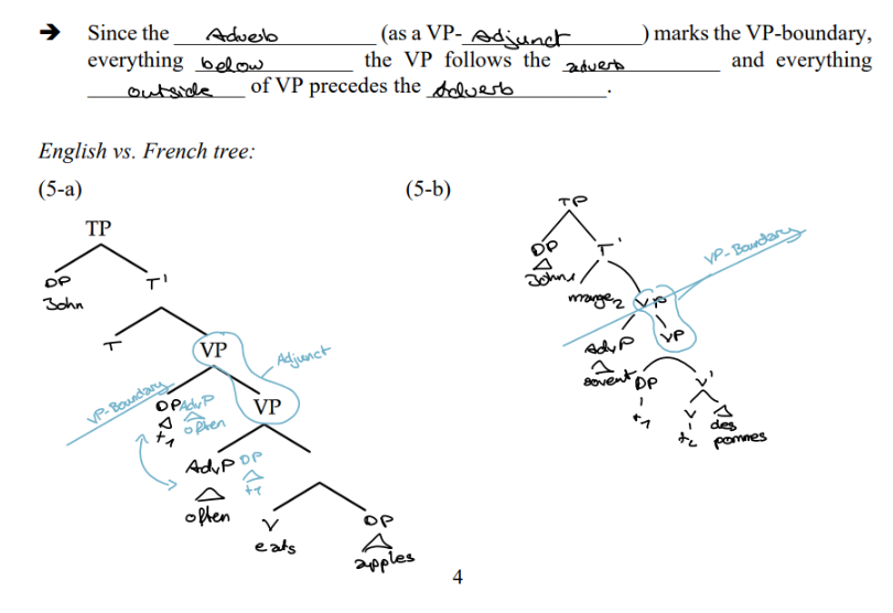 <p>The word order differs if there is an Adverb (&amp; finite full verb)</p><p>E: FfV follows Adverb</p><p>F: FfV precedes Adv</p><p>With auxilliary:</p><p>E: Aux aslo precedes Adv</p><p>F: If main  verb is <strong>non-finite</strong> it does not preceede the Adverb</p><p>Verb raising parameter: V-to-T movement of the finite full verb</p>