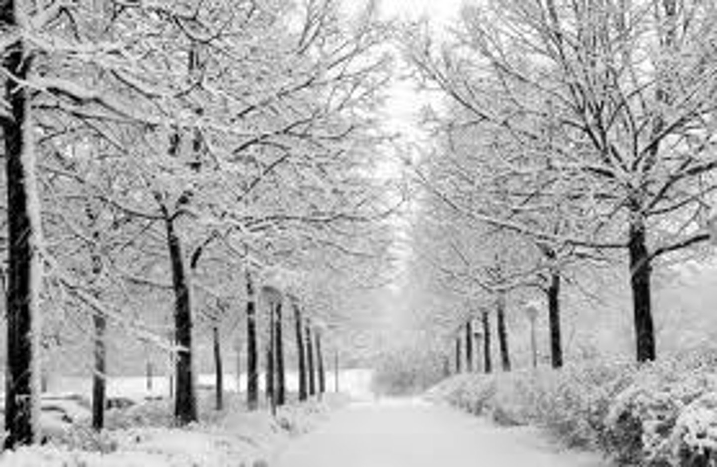 <p>el invierno</p>