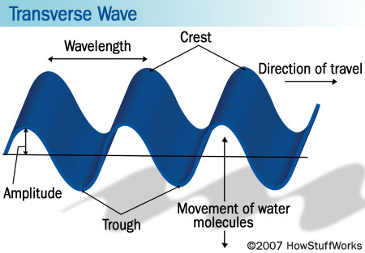 <p>Highest point of a wave</p>