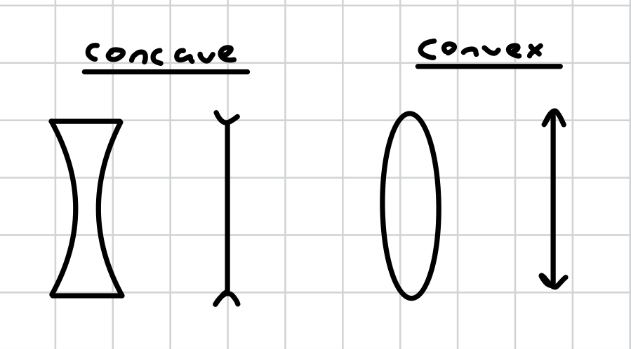 <p>convex - converging, oval shaped</p><p>concave - diverging, curves inwards</p>