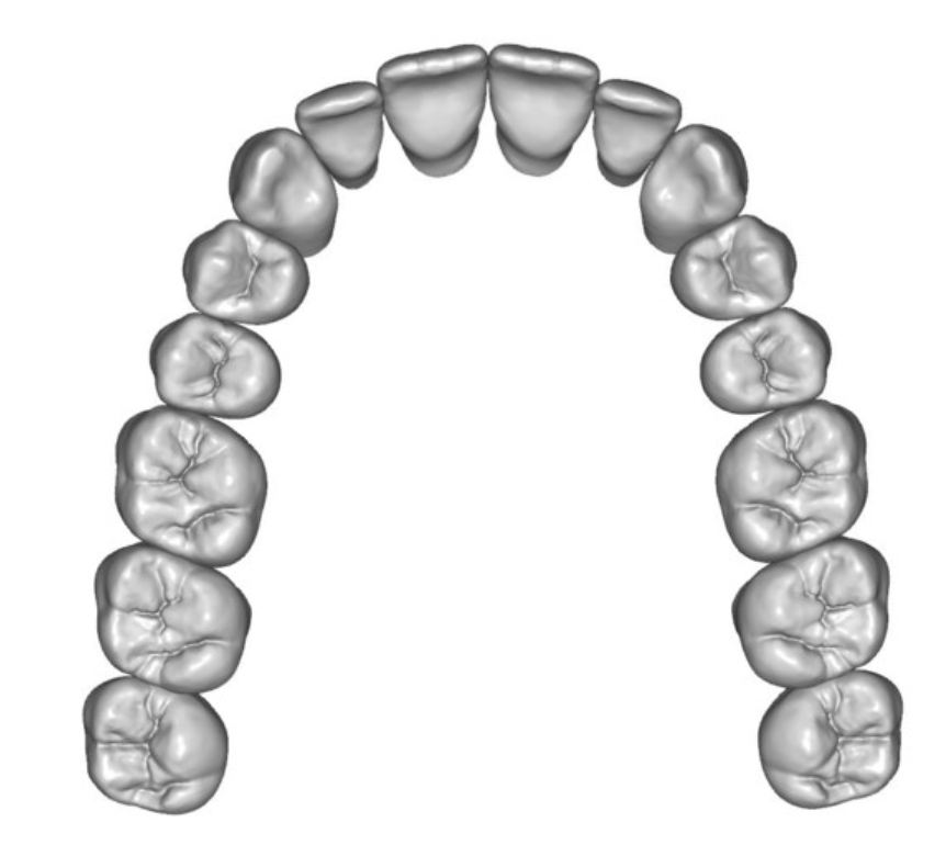 <p>Are these adult teeth or baby </p>