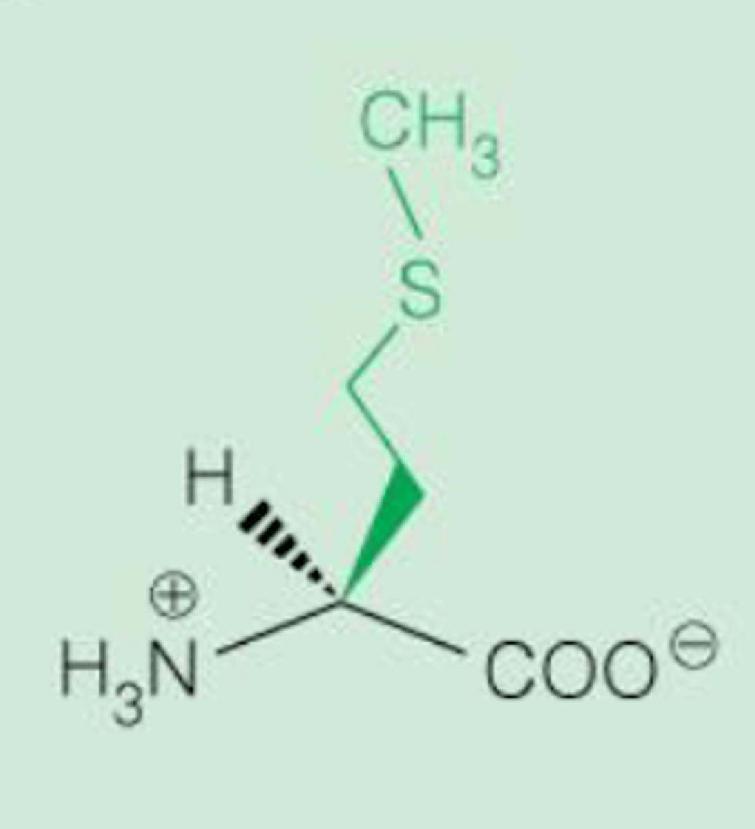 <p>Non-polar</p>