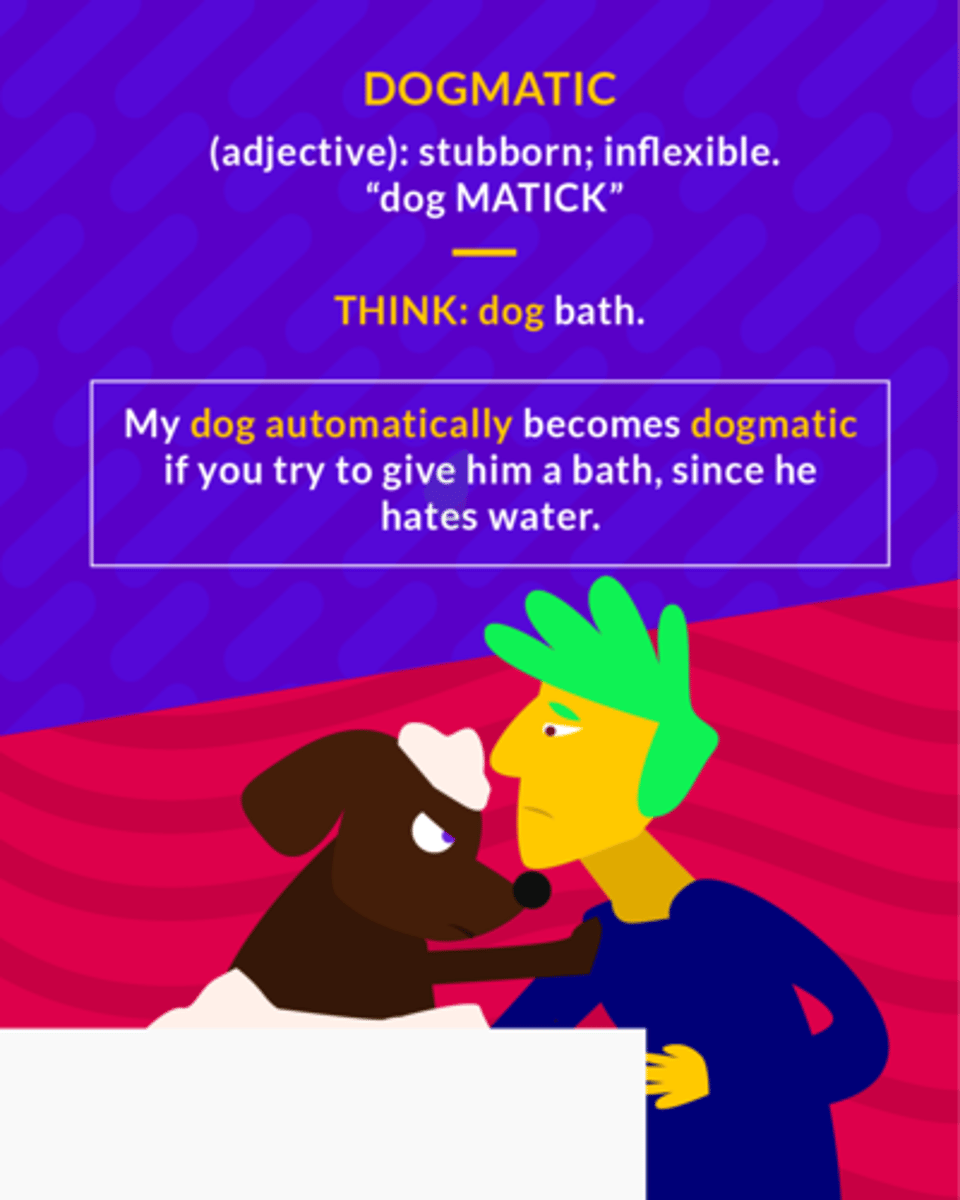 <p>stubbornly opinionated</p>