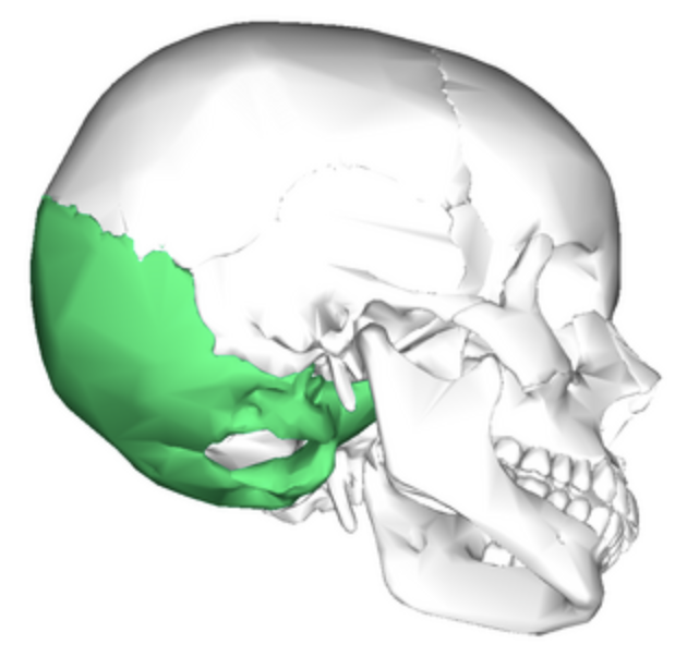 term image