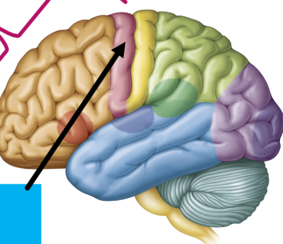 <p>What is the arrow pointing to?</p>