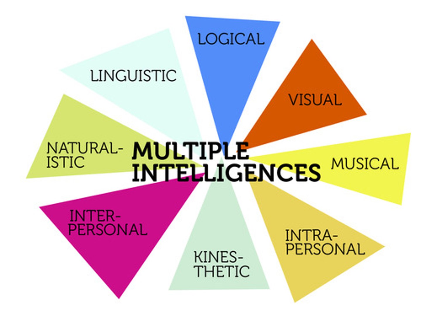 <p>individuals possess different types of intelligence beyond traditional measures, such as linguistic, logical-mathematical, musical, spatial, bodily-kinesthetic, interpersonal, intrapersonal, and naturalistic intelligences.</p>