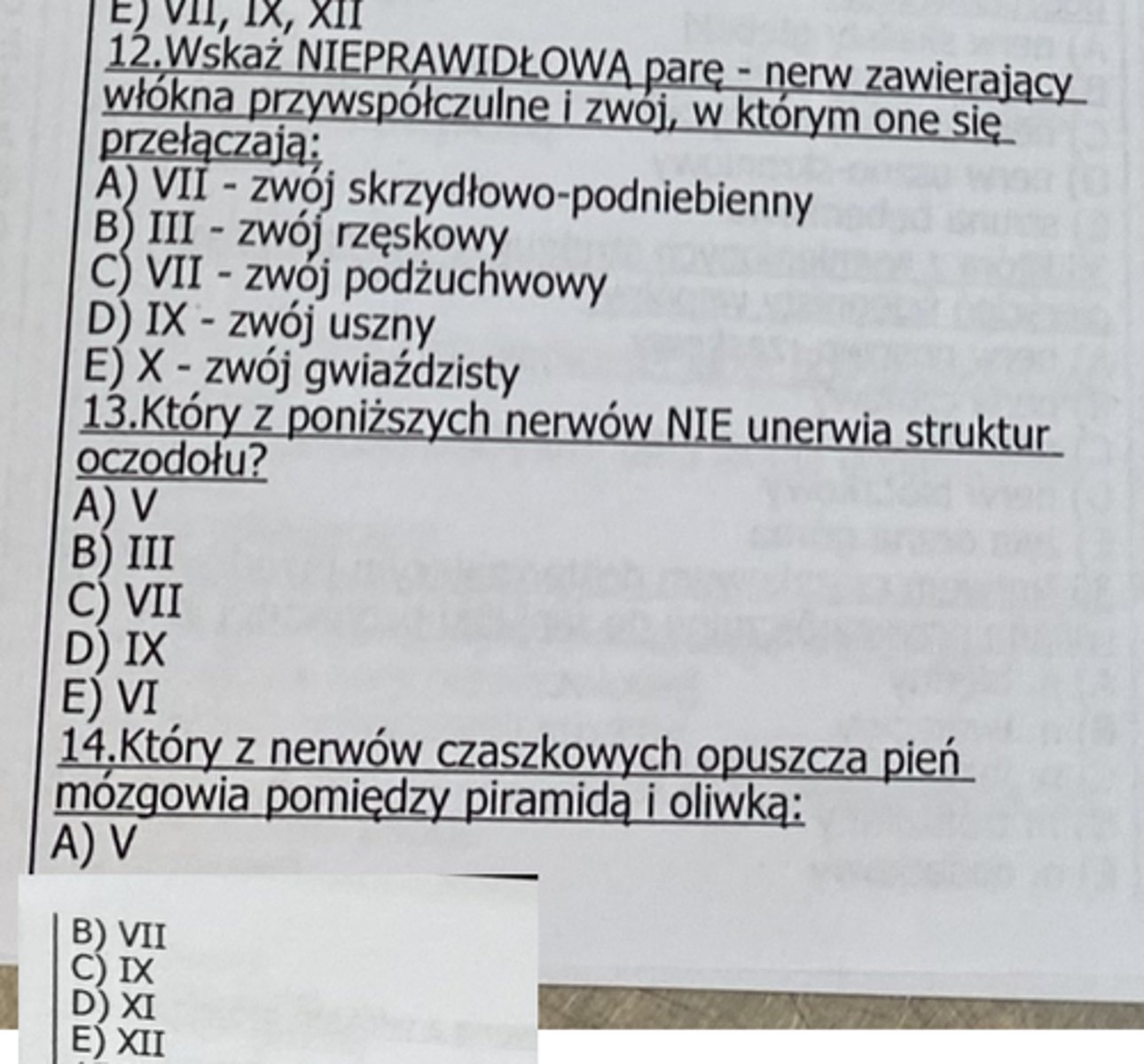 <p>14</p>