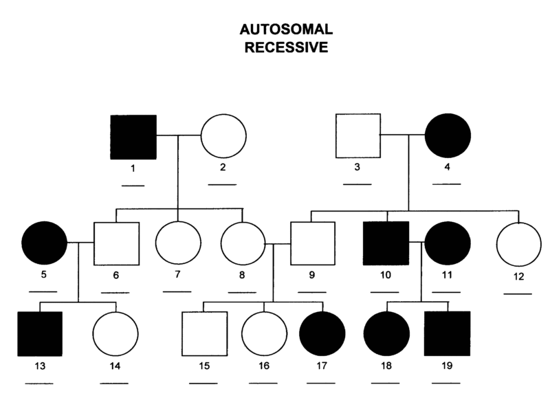 <p>Require two copies of the affected allele (one from each parent)</p>