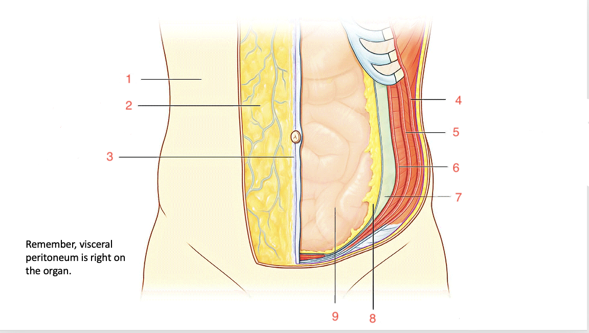 <p>1</p>