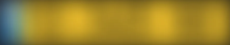 <p>Blue and yellow license plate</p>