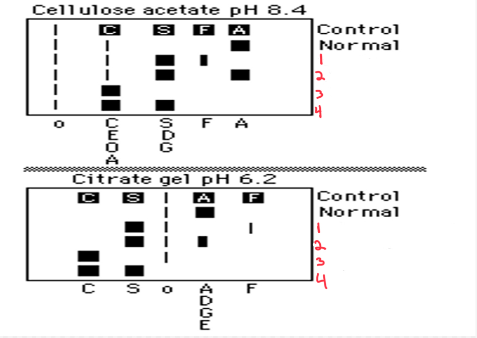 <p>what does patient 1 have?</p>
