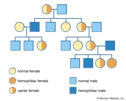 <p>Pedigree analysis chart.</p>