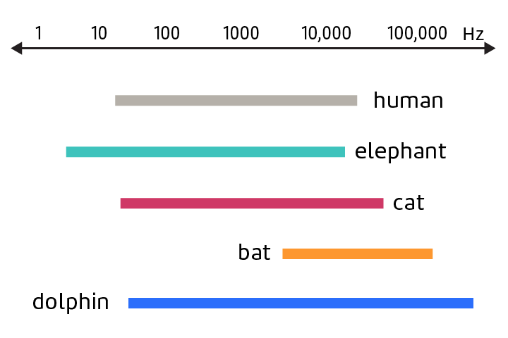 <p>The range of frequencies that can be heard by a human or animals. </p>