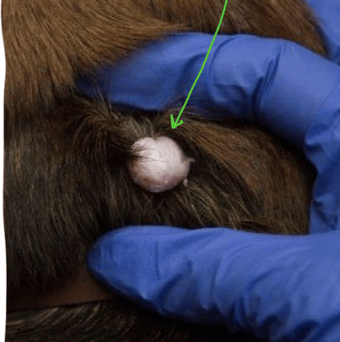 <p>what is this?</p>