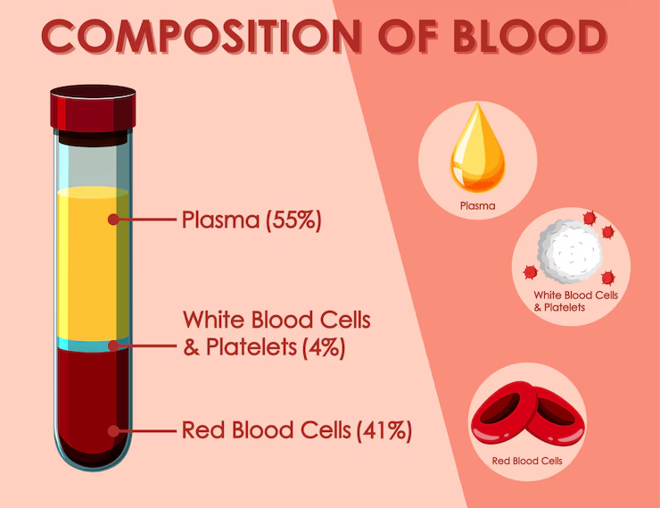 <p>(not living fluid matrix)</p><p>55% of whole blood</p><p>least dense component</p>