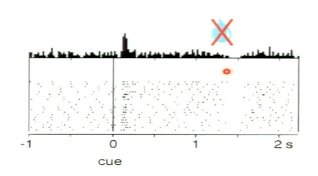 <p>What occurs in this trial?</p>