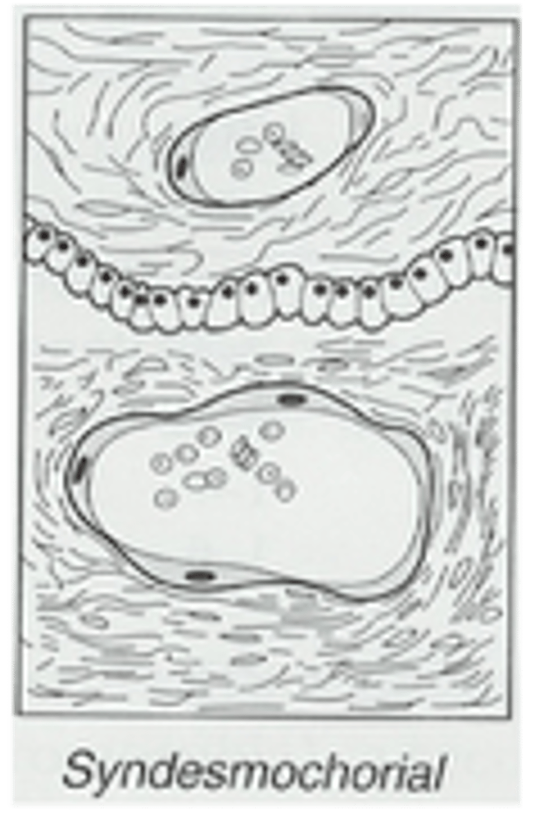 <p>Lacking uterine epithelial barrier; contact uterine tissue; e.g, Artiodactyls</p>
