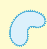 <p>bacteria with little spiral and appear as a comma</p>