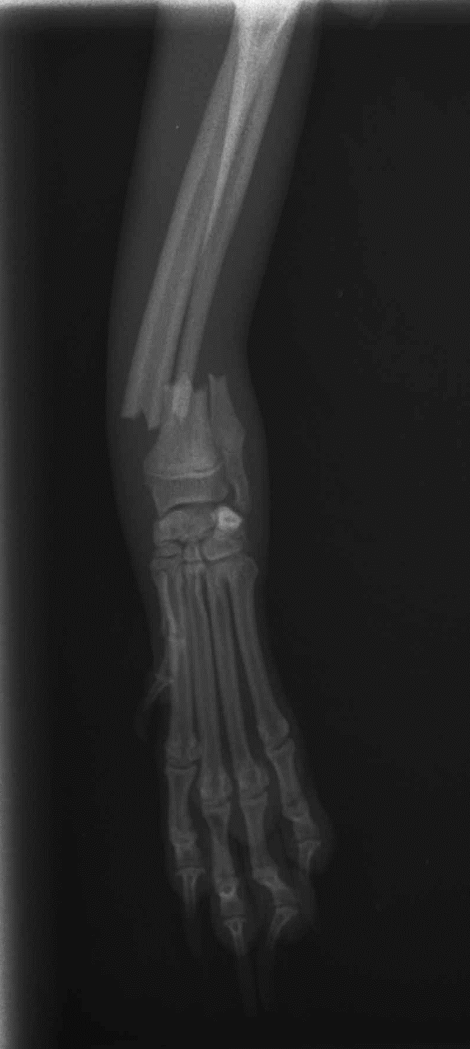 <p>what condition is this?</p>