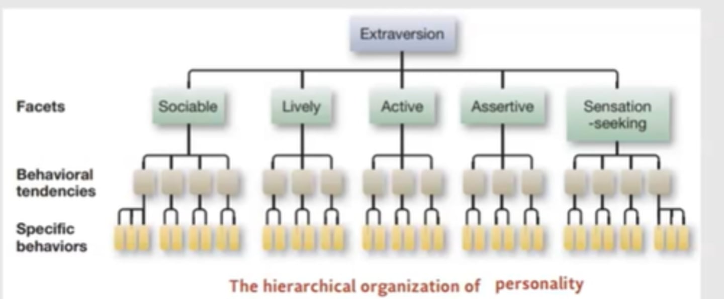 <p>The FFM has a trait hierarchical model of traits (trait &gt; facets &gt; behavioural tendencies &gt; behaviours) whereas there is no hierarchy in the Big 5 as its developed from natural language - no tendency to build behaviours from facets. </p>