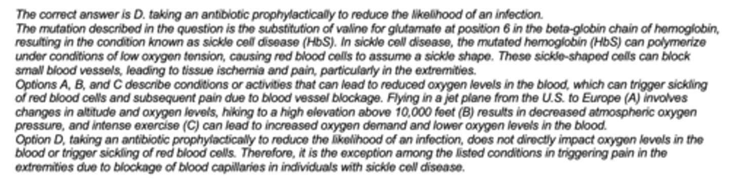 <p>D. taking an antibiotic prophylactically to reduce the likelihood of an infection</p>
