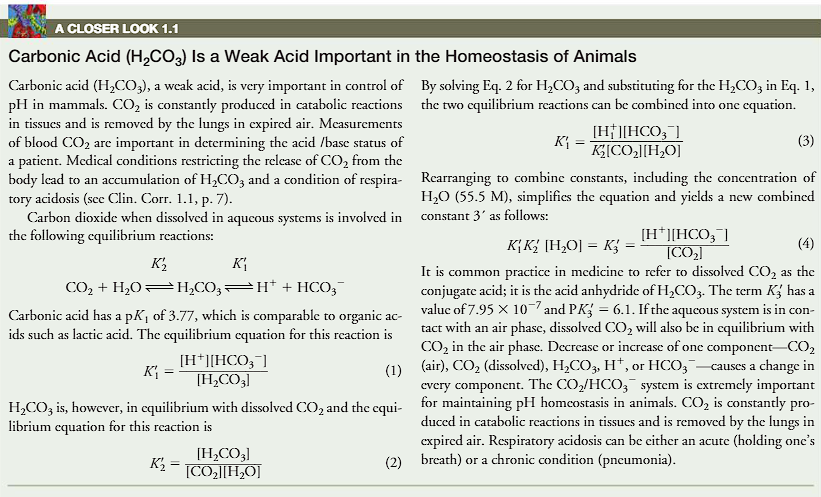 <p>(closer look 1.1) </p><p>carbonic acid (H2CO3) is a weak acid important in the homeostasis of mammals</p><p>what is the equation for carbon dioxide and carbonate acid? </p>