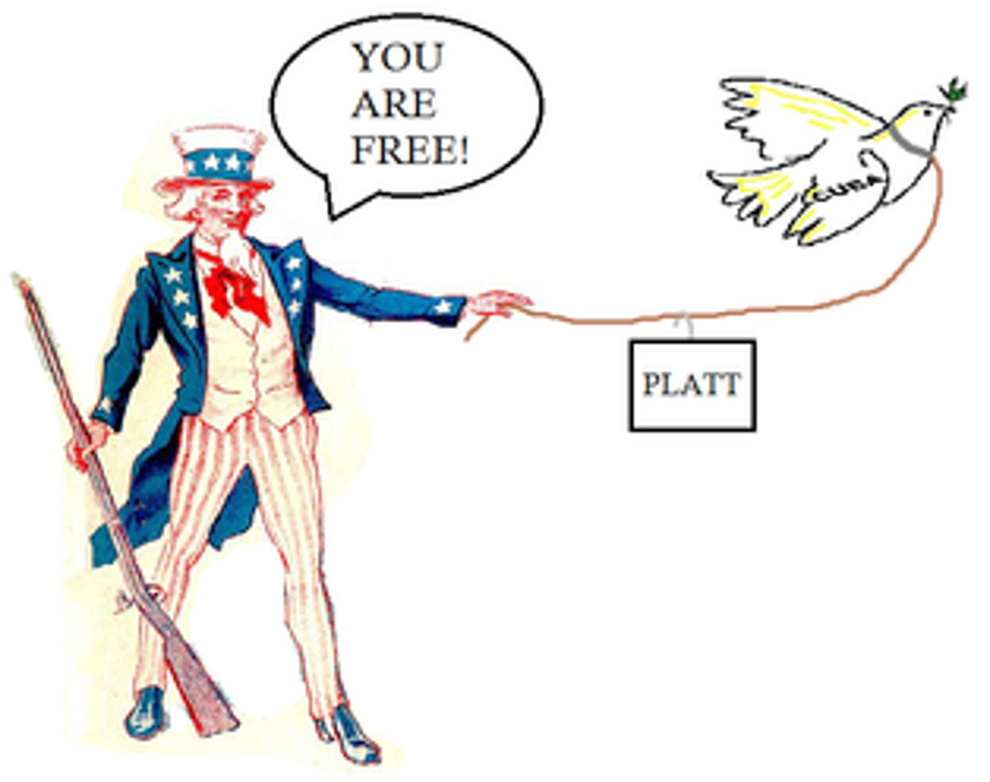 <p>Provisions the U.S. required the Cubans to adopt into their new constitution before we would remove U.S. troops after the Spanish-American War. They stated that Cuba could not sign treaties limiting its independence, Cuba could not go into a debt it could not pay, the U.S. reserved the right to intervene, and the US could buy or lease land on the island for naval and refueling stations.</p>